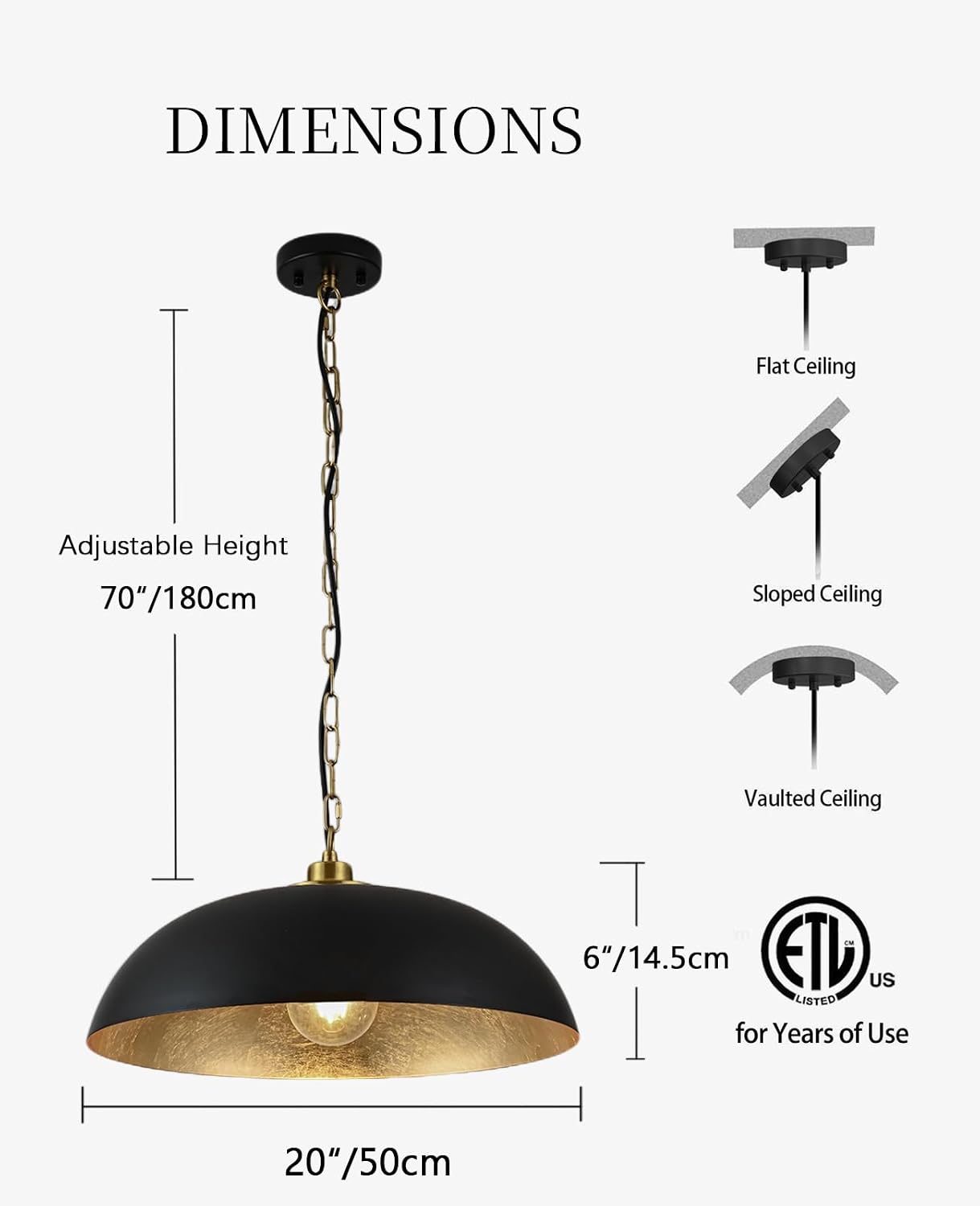 Black Gold Interior Dome Pendant Light