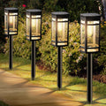 12-Pack Edison Solar Pathway Lights