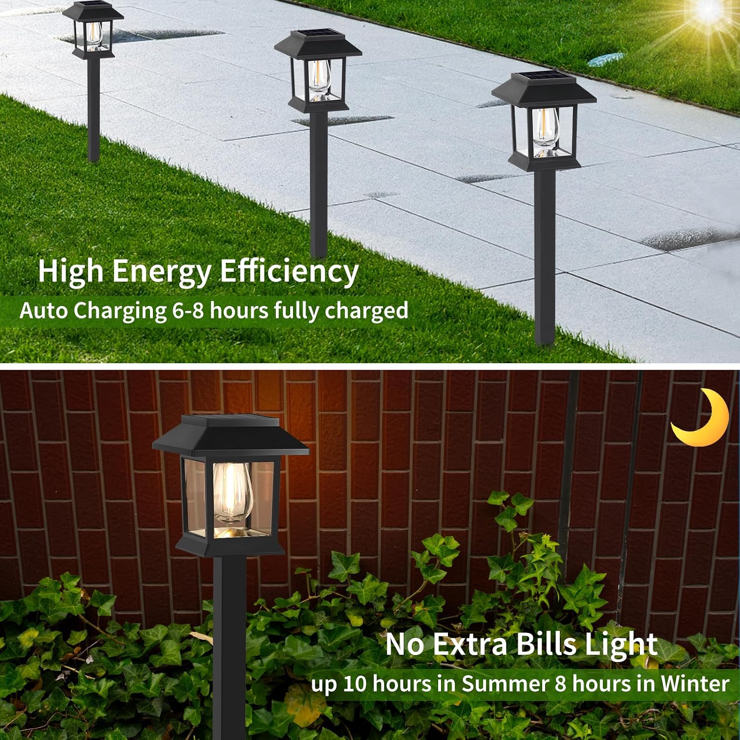 12-Pack Solar Pathway Garden Lights