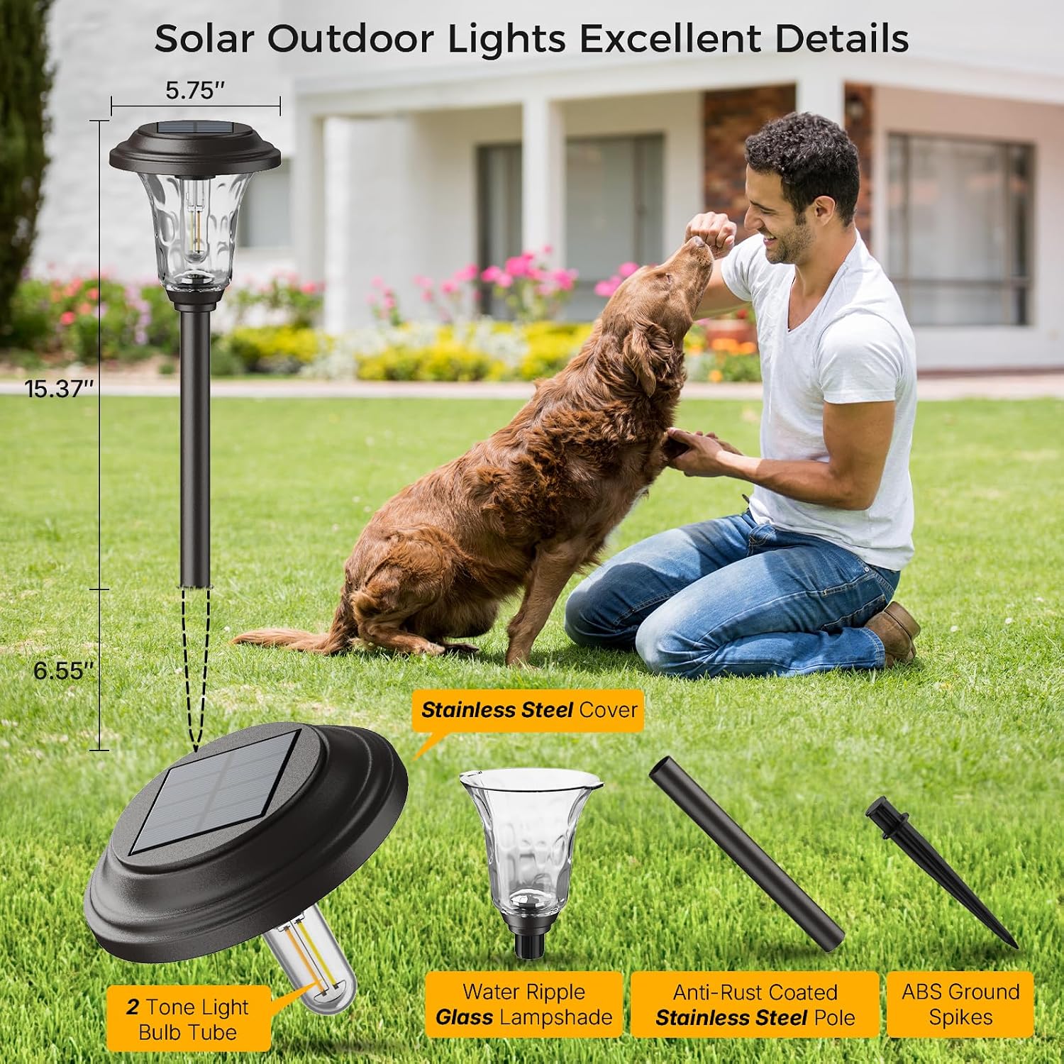 6-Pack Metal Glass Solar Pathway Lights
